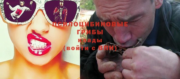 сатива Аркадак