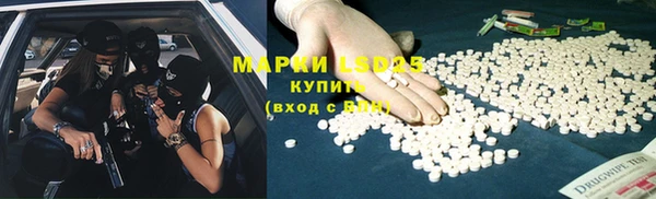 сатива Аркадак