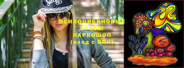 сатива Аркадак