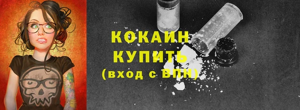 сатива Аркадак