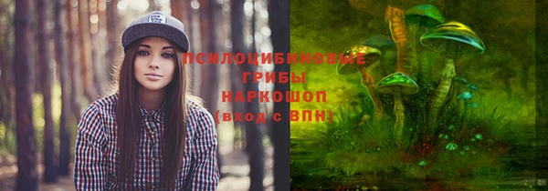 сатива Аркадак