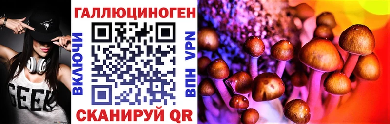Псилоцибиновые грибы мицелий Видное