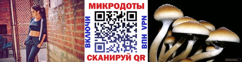 Купить закладки  Видное  Галлюциногенные грибы прущие грибы 